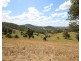 207 Butchers Creek Road, Wherrol Flat NSW 2429