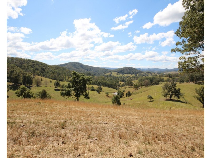 207 Butchers Creek Road, Wherrol Flat NSW 2429