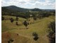 207 Butchers Creek Road, Wherrol Flat NSW 2429