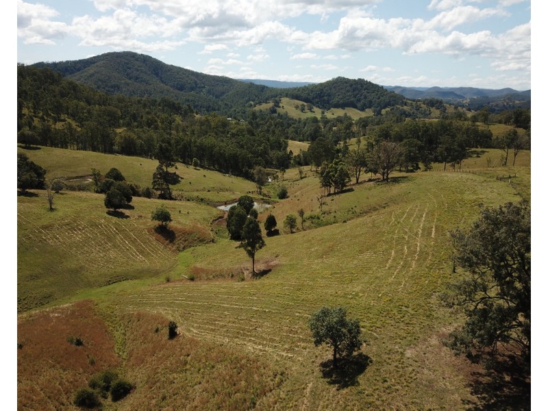 207 Butchers Creek Road, Wherrol Flat NSW 2429