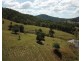 207 Butchers Creek Road, Wherrol Flat NSW 2429