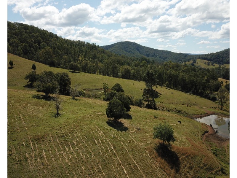 207 Butchers Creek Road, Wherrol Flat NSW 2429