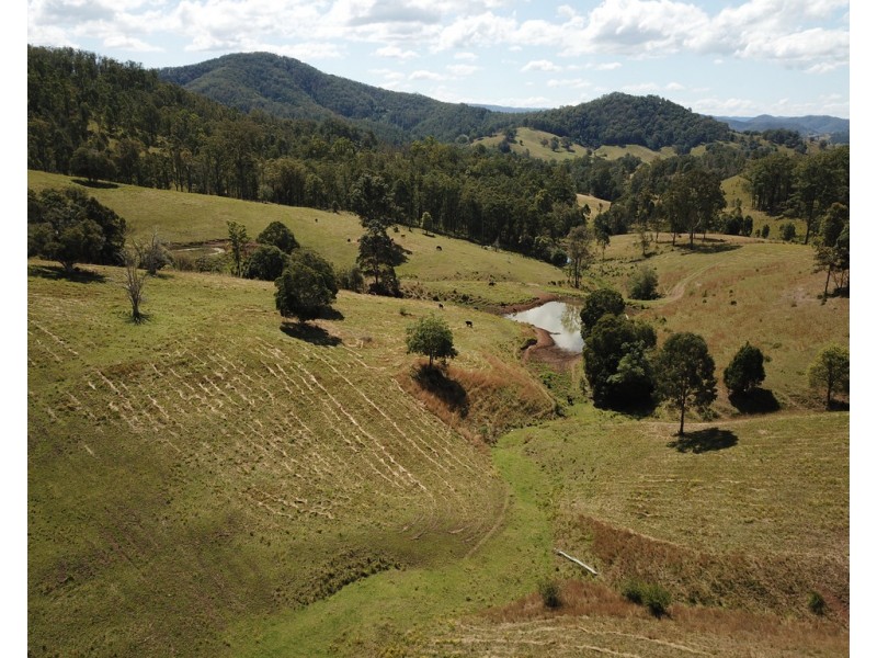 207 Butchers Creek Road, Wherrol Flat NSW 2429