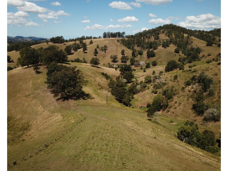 207 Butchers Creek Road, Wherrol Flat NSW 2429