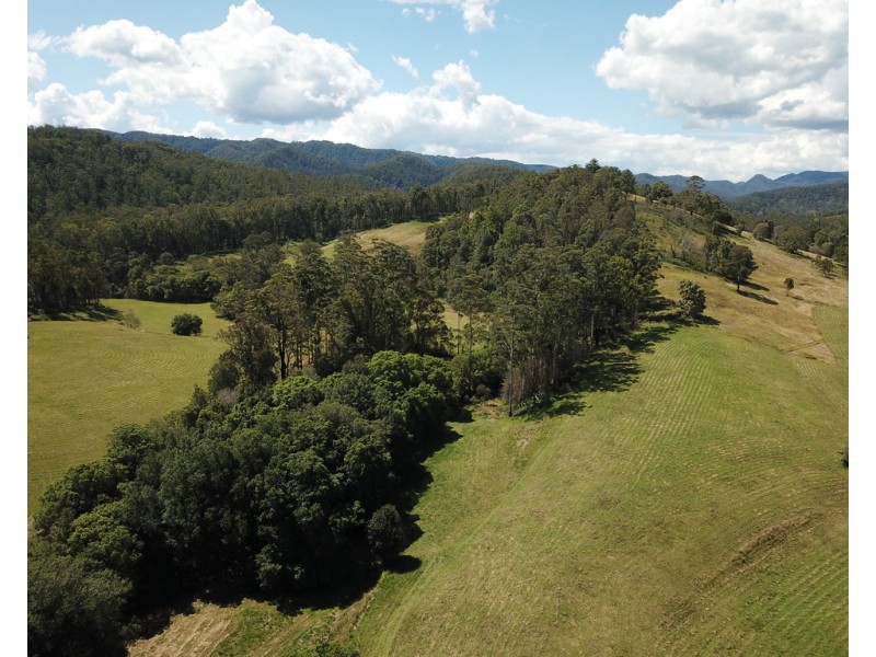 2954 Bulga Road, Bobin NSW 2429