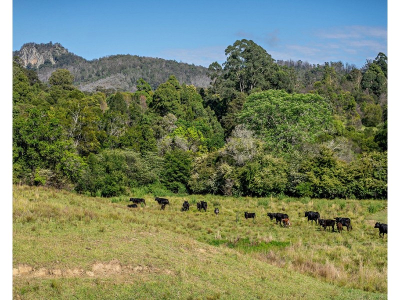 204 Paynes Lane, Upper Lansdowne NSW 2430
