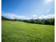204 Paynes Lane, Upper Lansdowne NSW 2430