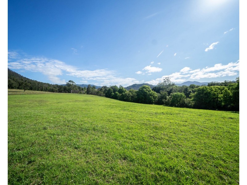 204 Paynes Lane, Upper Lansdowne NSW 2430