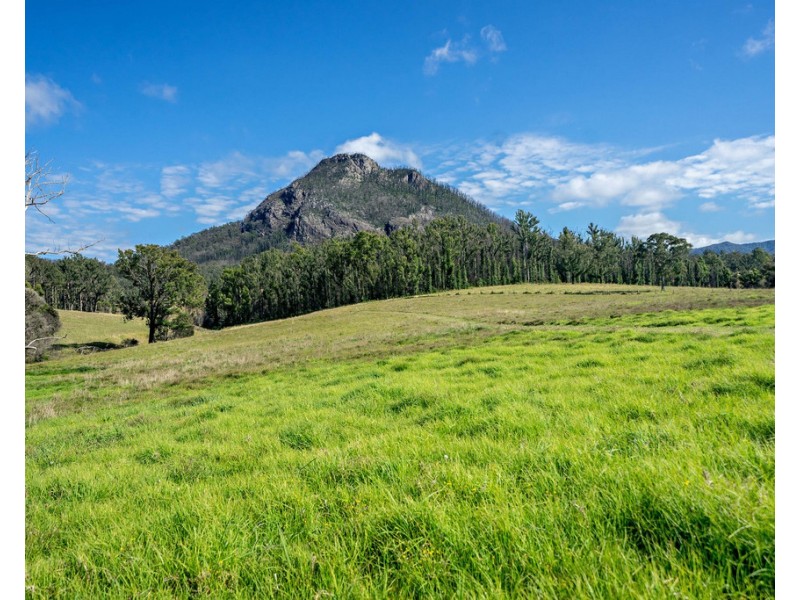 204 Paynes Lane, Upper Lansdowne NSW 2430