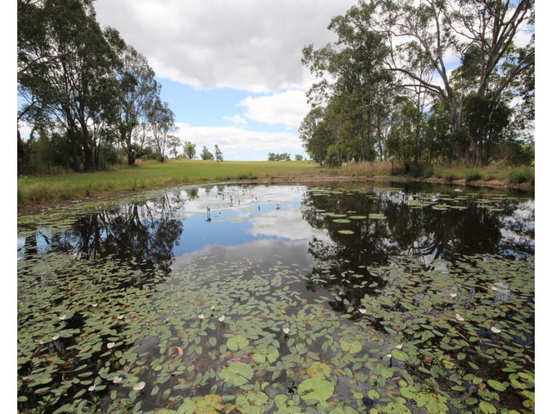 72 Nowendoc Road, Killawarra NSW 2429