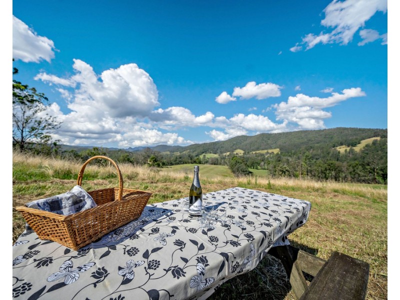 2911 Bulga Road, Bobin NSW 2429