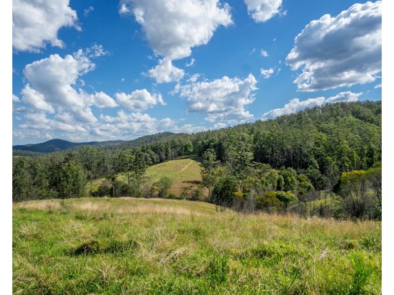 2911 Bulga Road, Bobin NSW 2429