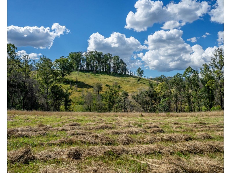 2911 Bulga Road, Bobin NSW 2429