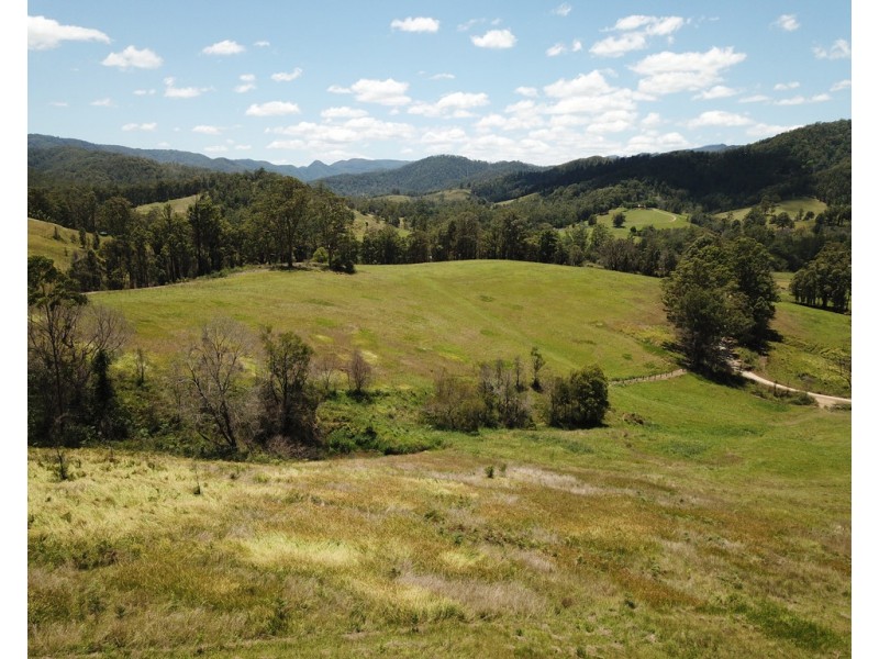 2911 Bulga Road, Bobin NSW 2429