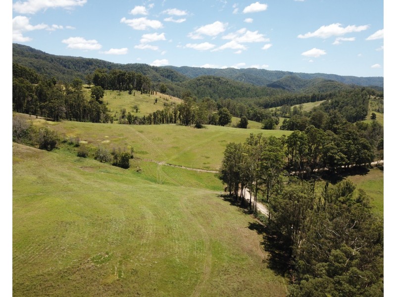 2911 Bulga Road, Bobin NSW 2429