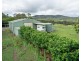 946 Kimbriki Road, Kimbriki NSW 2429