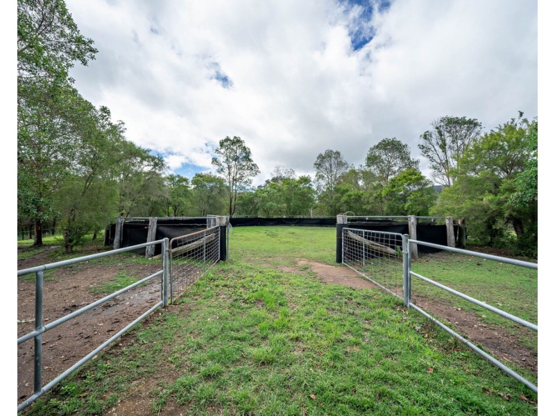 946 Kimbriki Road, Kimbriki NSW 2429