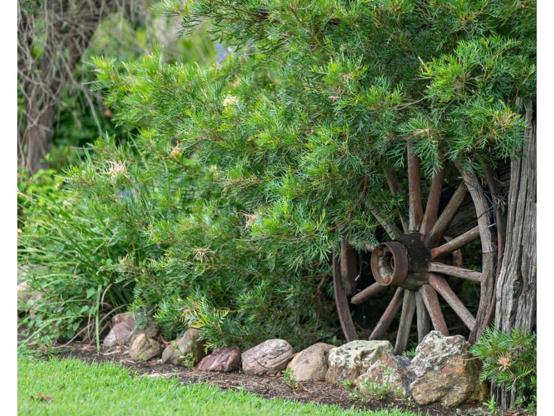 946 Kimbriki Road, Kimbriki NSW 2429