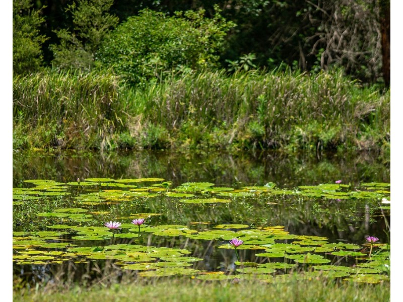 17 Iluka Circuit, Taree NSW 2430