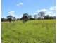 256 Comboyne Road, Wingham NSW 2429