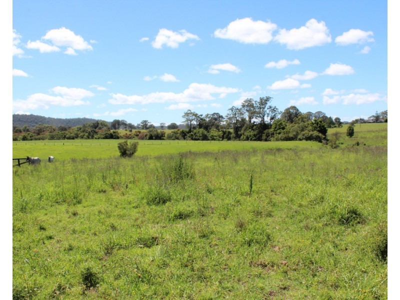 256 Comboyne Road, Wingham NSW 2429