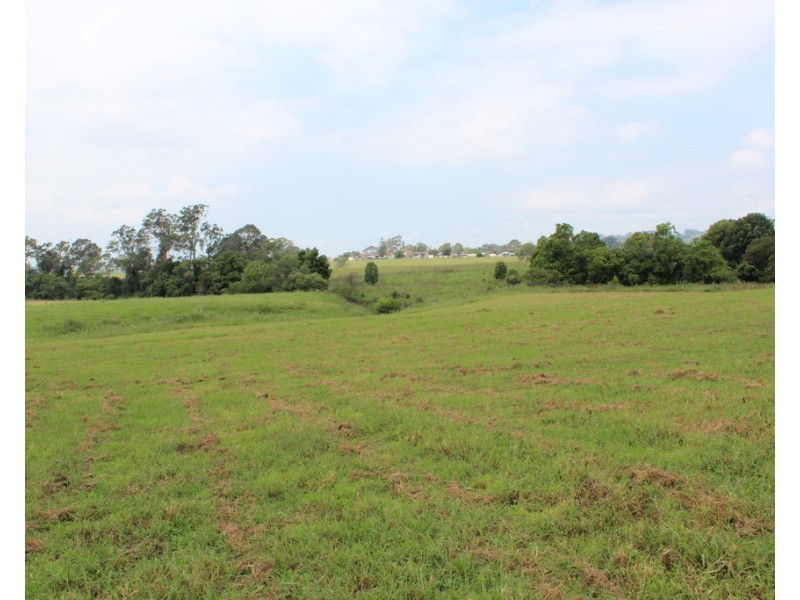 256 Comboyne Road, Wingham NSW 2429