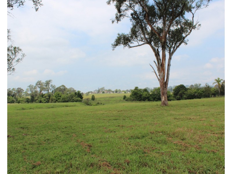 256 Comboyne Road, Wingham NSW 2429