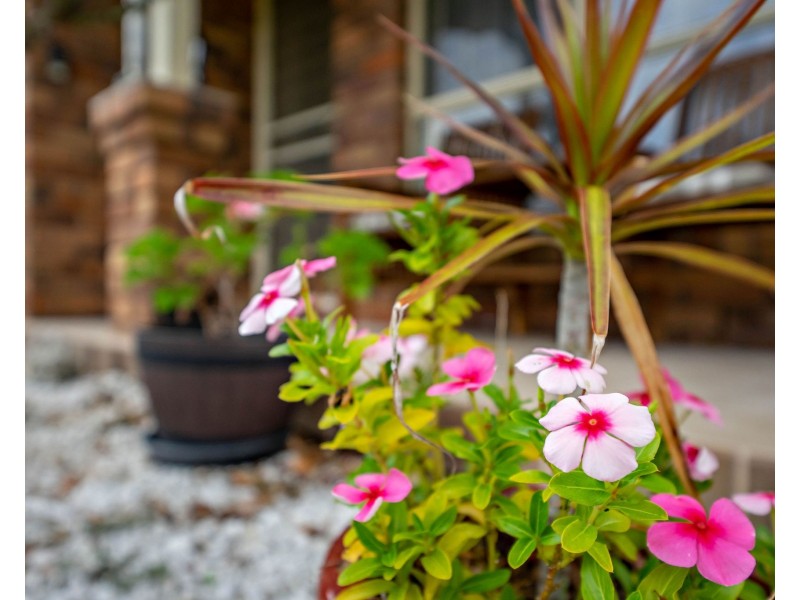 2/19 Hickory Crescent, Taree NSW 2430