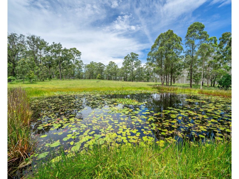 157 Brimbin Road, Brimbin NSW 2430