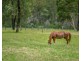 157 Brimbin Road, Brimbin NSW 2430