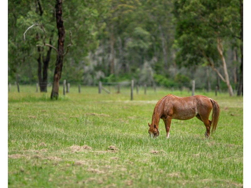 157 Brimbin Road, Brimbin NSW 2430