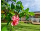23 Telopea Drive, Taree NSW 2430
