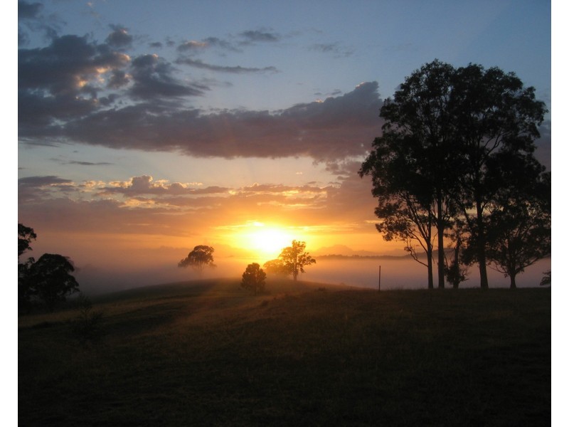 298 Karaak Flat Road, Karaak Flat NSW 2429