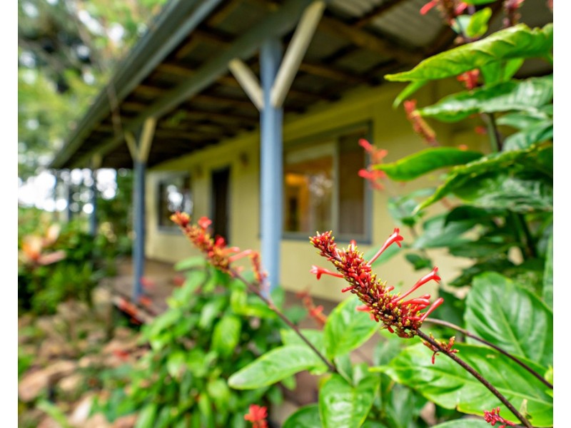 19481 Pacific Highway, Moorland NSW 2443