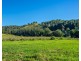 Lot 101 Killabakh  Creek Road, Killabakh NSW 2429