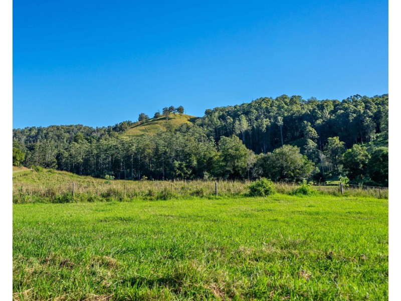 Lot 101 Killabakh  Creek Road, Killabakh NSW 2429
