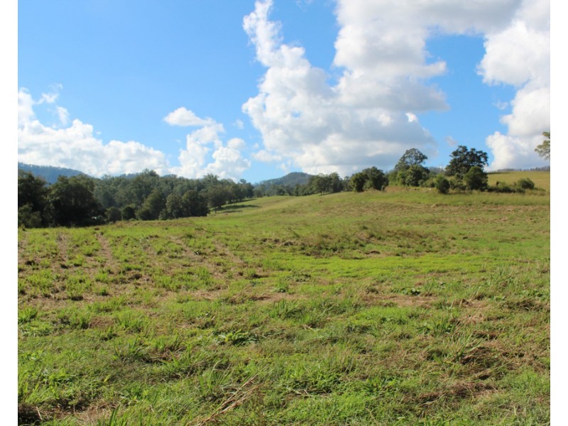 Lot 101 Killabakh  Creek Road, Killabakh NSW 2429