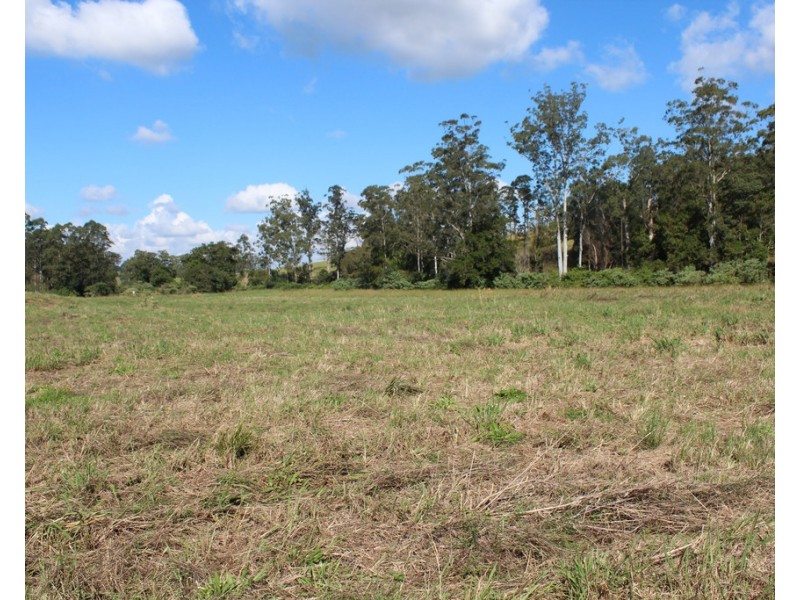 Lot 101 Killabakh  Creek Road, Killabakh NSW 2429
