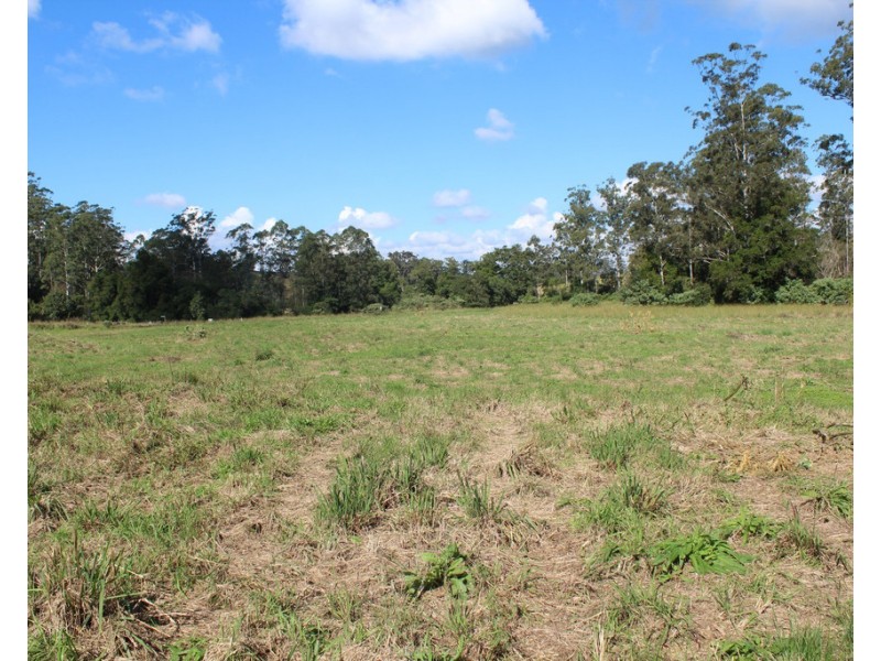 Lot 101 Killabakh  Creek Road, Killabakh NSW 2429