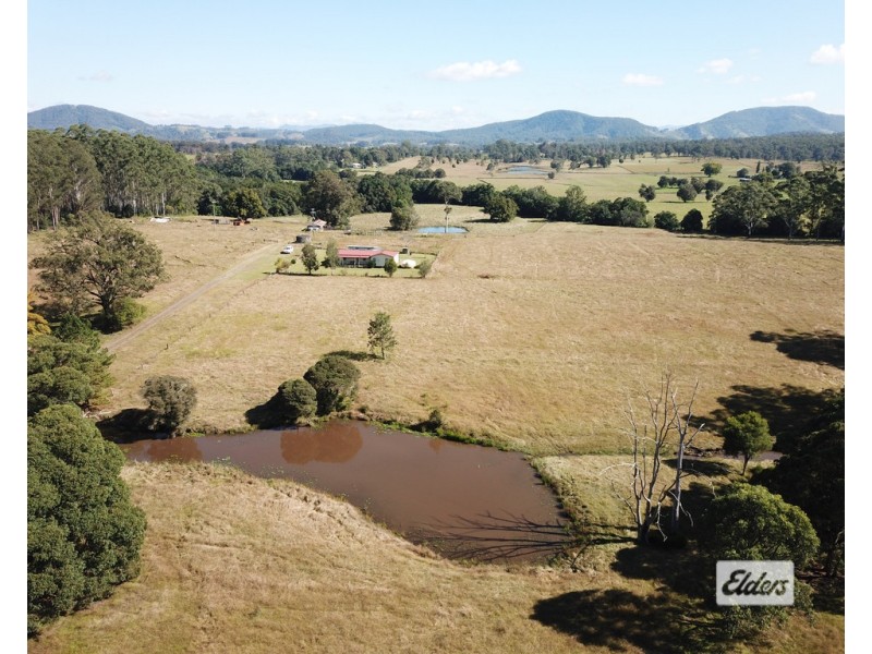 919 Cedar Party Road, Cedar Party NSW 2429