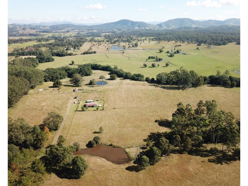 919 Cedar Party Road, Cedar Party NSW 2429