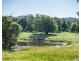 919 Cedar Party Road, Cedar Party NSW 2429