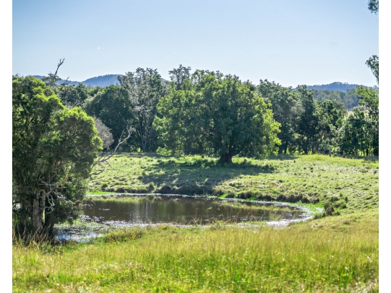 919 Cedar Party Road, Cedar Party NSW 2429