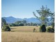 919 Cedar Party Road, Cedar Party NSW 2429