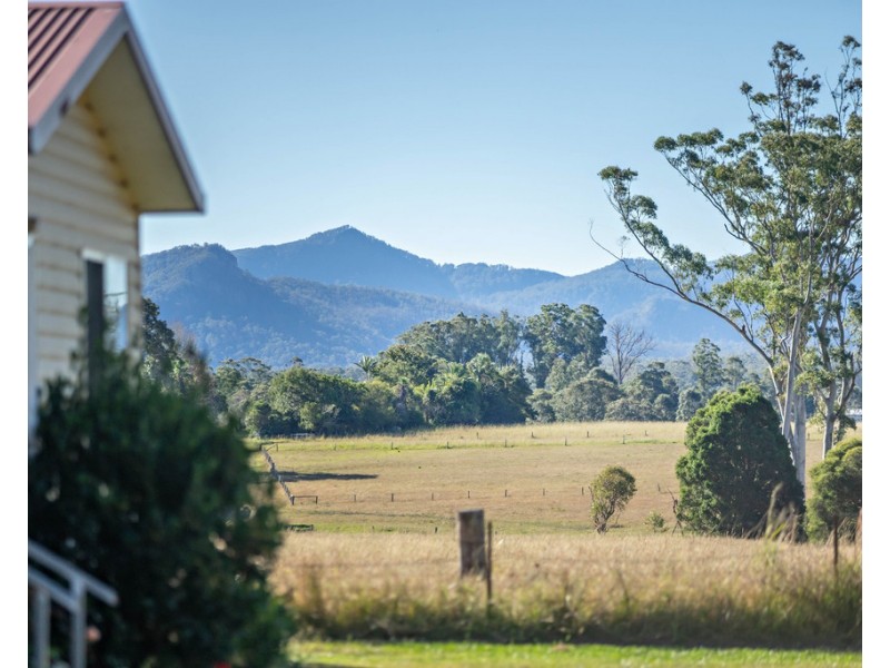 919 Cedar Party Road, Cedar Party NSW 2429