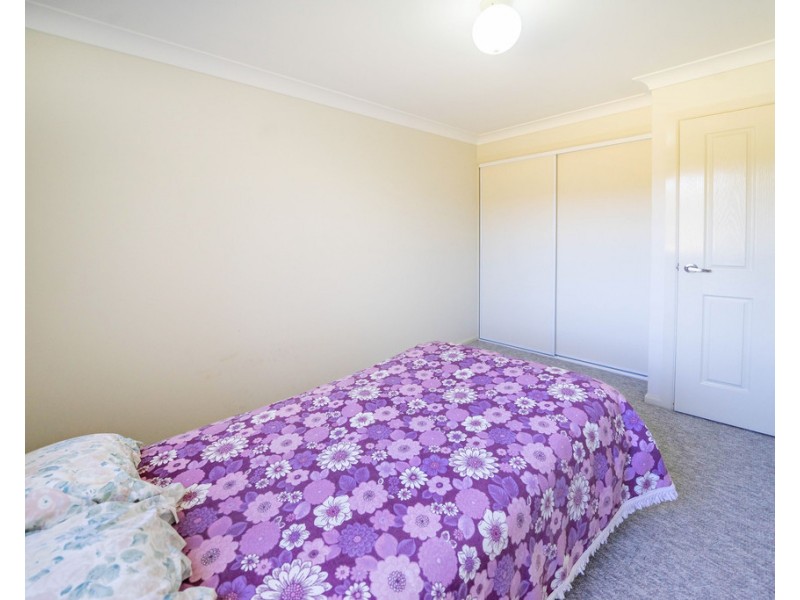 919 Cedar Party Road, Cedar Party NSW 2429