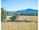 919 Cedar Party Road, Cedar Party NSW 2429