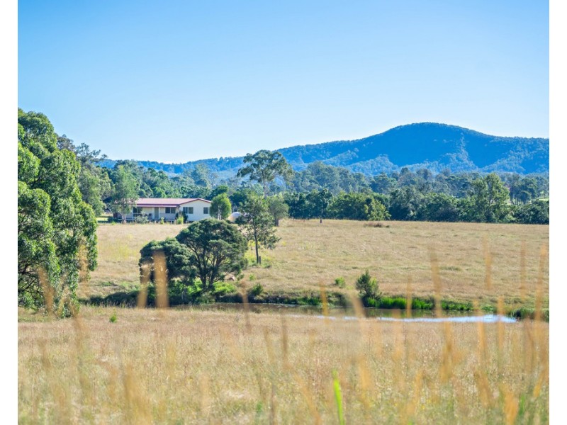 919 Cedar Party Road, Cedar Party NSW 2429