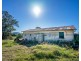 919 Cedar Party Road, Cedar Party NSW 2429