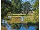 919 Cedar Party Road, Cedar Party NSW 2429